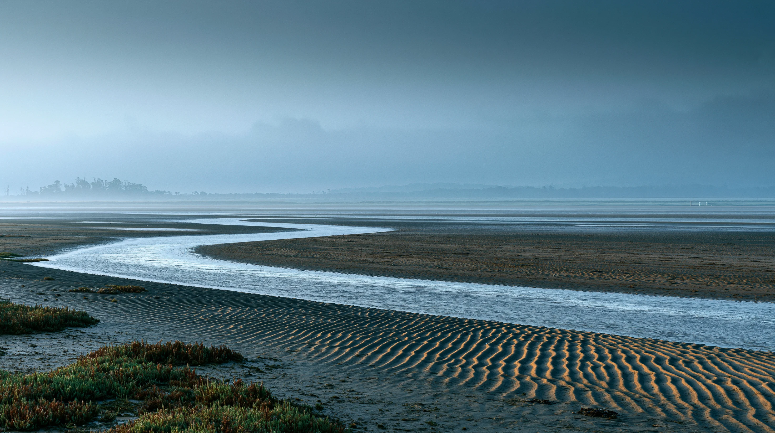 Bannow Bay at low tide. Vast tidal flats reflecting a pale dawn sky, a thin band of distant land on the horizon.